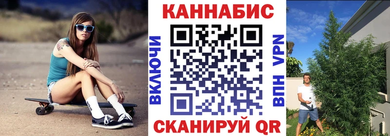 Бошки марихуана MAZAR  купить наркоту  Тында 